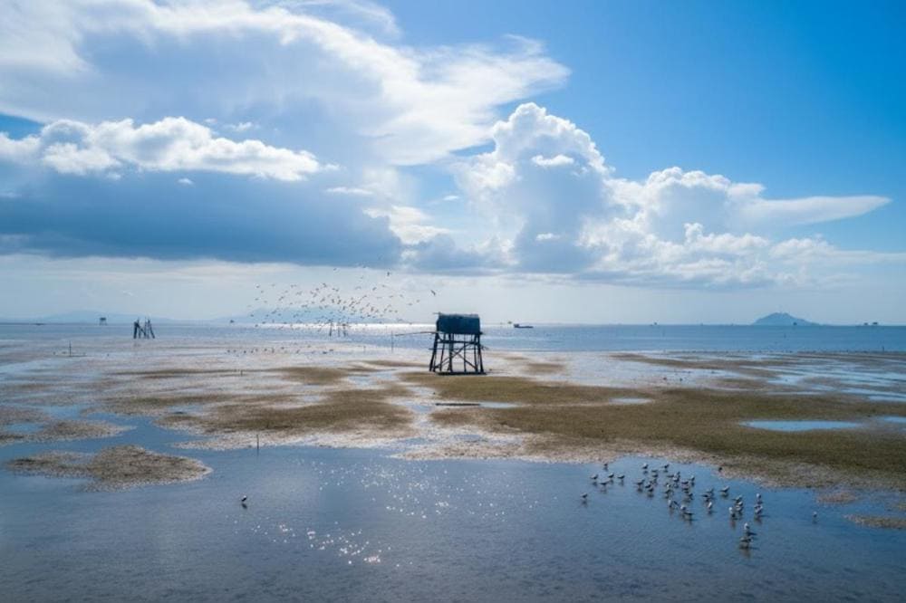 Du khách đến Cồn Nổi được hòa mình vào thiên nhiên hoang sơ